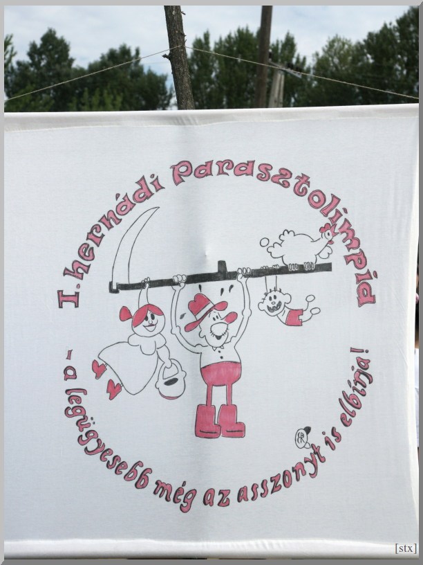 Falunap 2012 - parasztolimpia