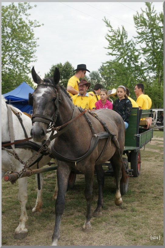 Falunap 2012 - vegyes képek 2012. augusztus 4.