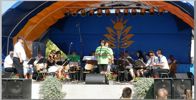 Falunap 2013 - Műsorok