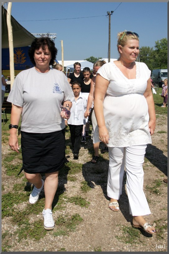 Falunap 2014 - Leader PihenőPont átadása 2014. augusztus 9.