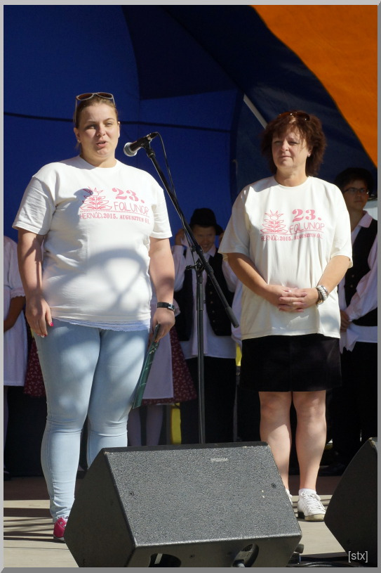 Falunap 2015 - Pillanatok