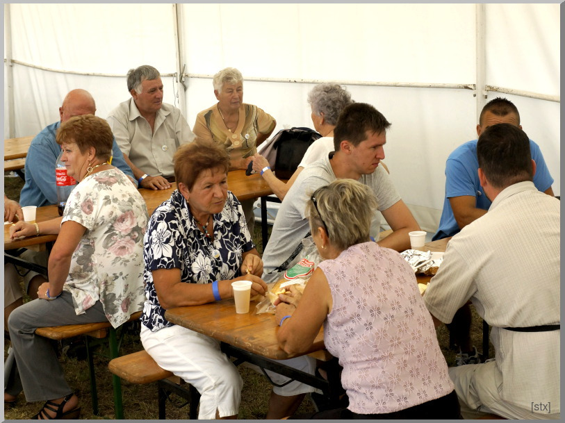 Falunap 2015 -Vendégek 2015. augusztus 1.