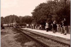 dsc03516