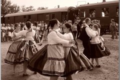 dsc03527