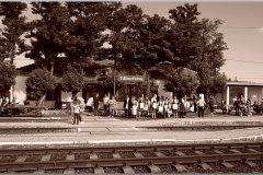 dsc03557