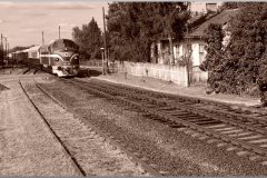 dsc03560