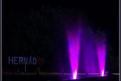 DSC06888