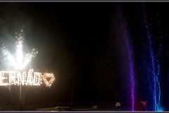 DSC06895