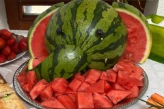 img_0096
