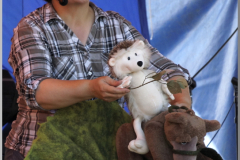 dsc6625