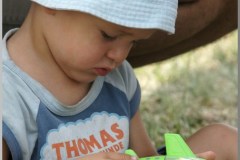 SONY DSC