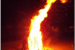 dscf6338