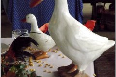 dscf6089