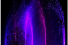 dsc02748