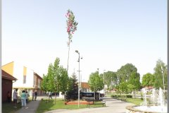 dscf2118