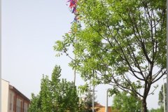 dscf2120