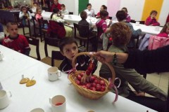 dscf6723