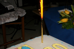 SONY DSC