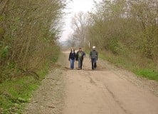 III. Felső-Homokhátság Gyalogos Teljesítménytúra