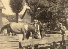 Állattartás korlátozás nélkül?