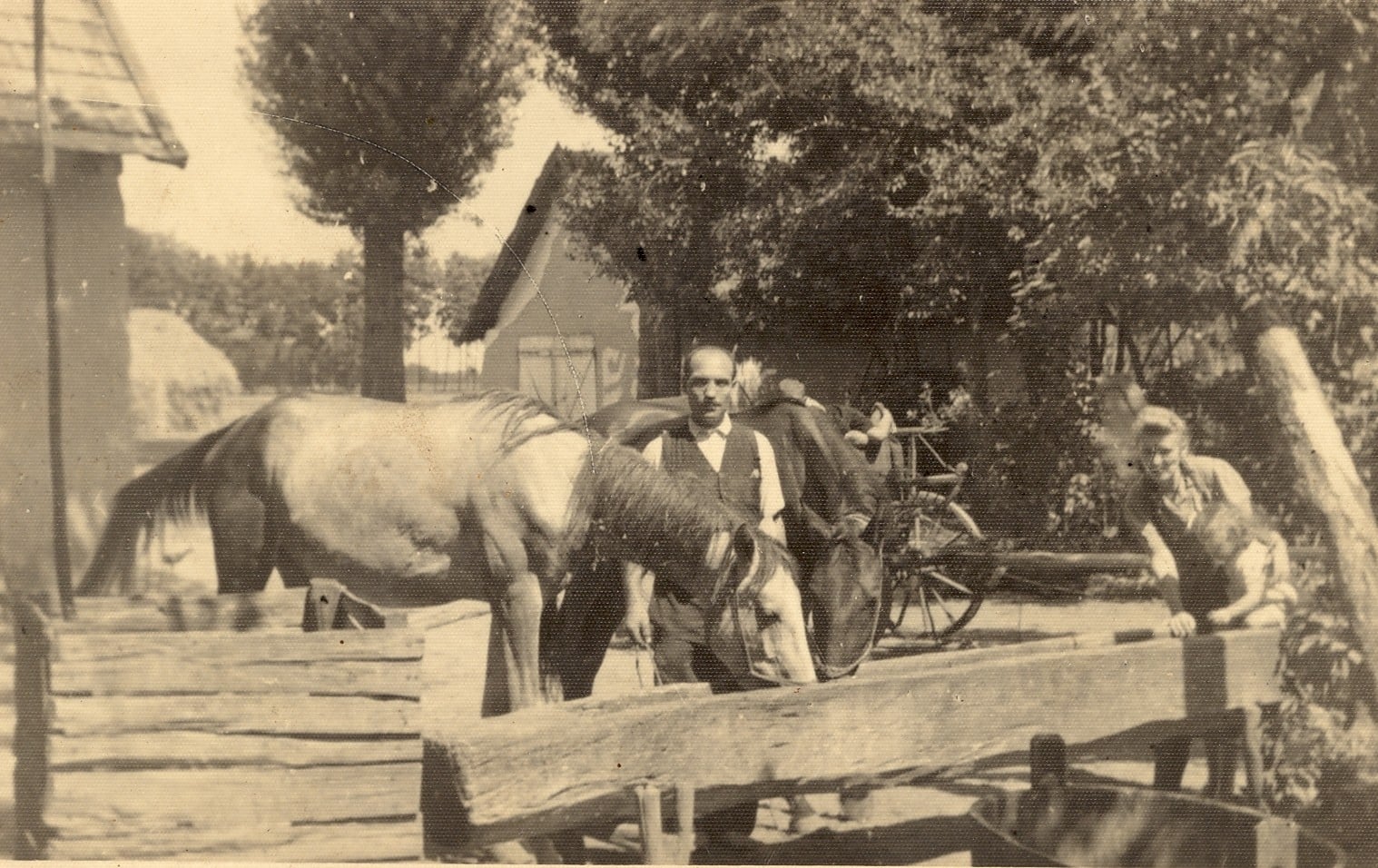 Állattartás korlátozás nélkül?