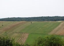 Földárverési hirdetmény