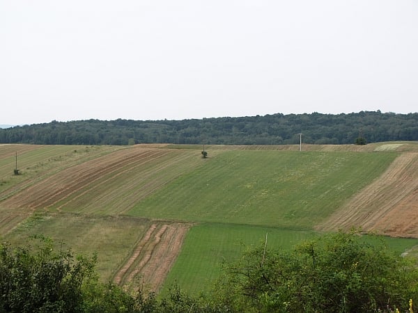 Földárverési hirdetmény