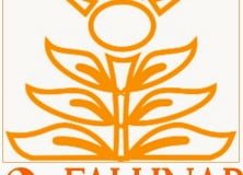 Falunapi versenykiírások