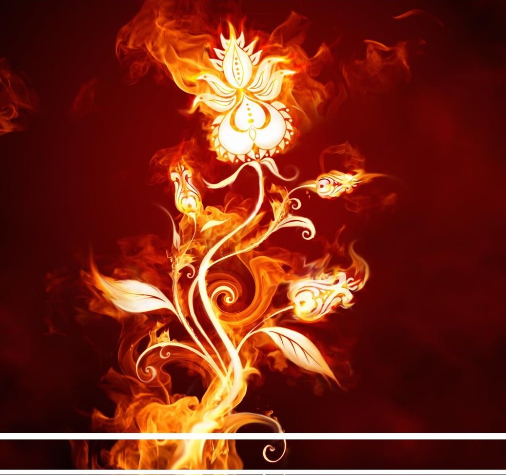 Itthon vagy! Magyarország, szeretlek!