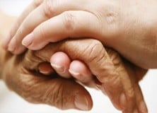 Házigondozó kerestetik!