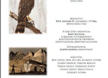 „Illékony pillanatok” – a Dabasi Fotóklub Egyesület kiállítása