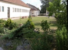 Dajkát keres az ovi