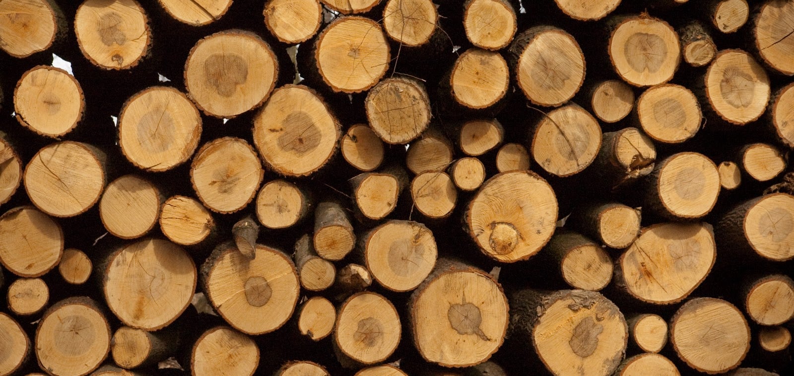 Hirdetmény a szociális tüzifáról