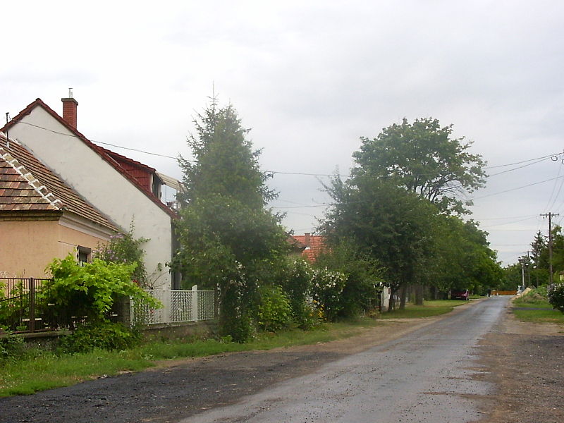 Ügyeljünk a közterületek rendjére és tisztaságára!