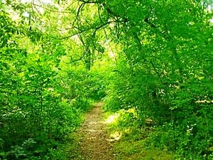 Ne rontsuk, ne nehezítsük egymás életét/Vigyázzunk környezetünkre