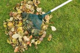 A hulladékégetésről