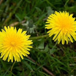 Óvodapedagógus állást hirdetünk!