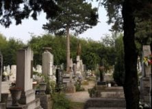 Sírhely megváltás