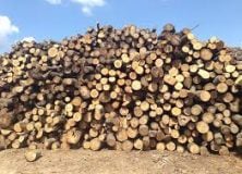 Hirdetmény szociális tűzifa juttatásról