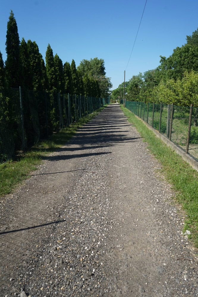 Közlemény