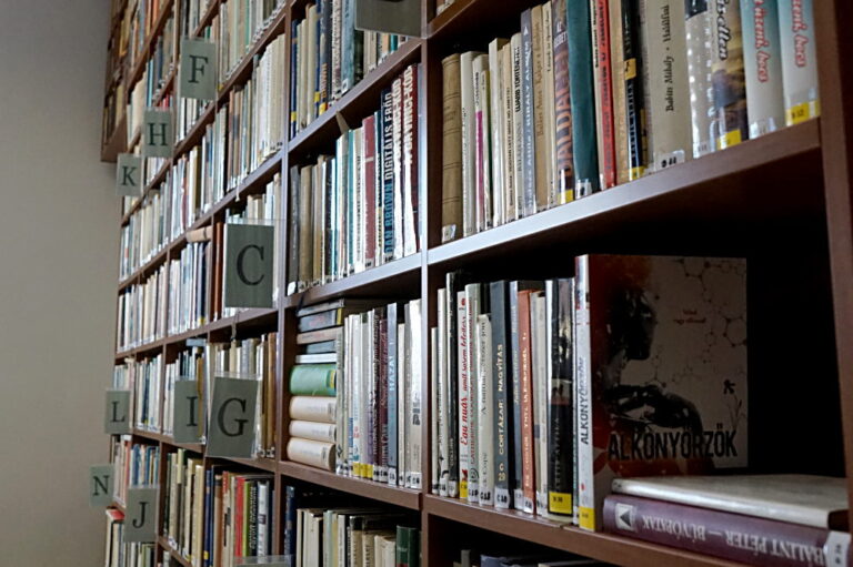 Pályázat könyvtáros állásra