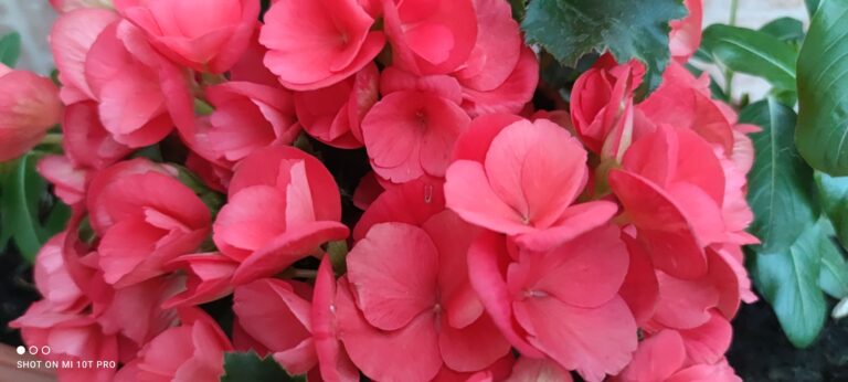 Köszönet és tisztelet a közalkalmazottaknak és az egészségügyi dolgozóknak