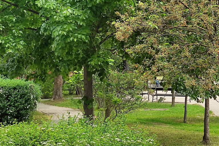 Fakidőléssel kapcsolatos lakossági tájékoztató