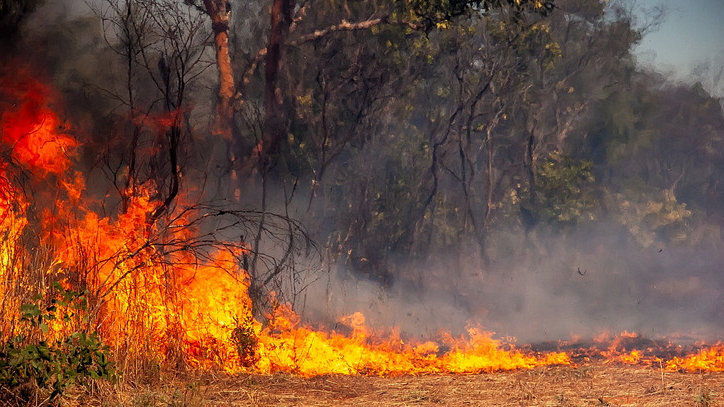 A szabadtéri tüzek megelőzése közös érdekünk!