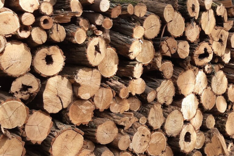 Hatósági áras tűzifaprogram