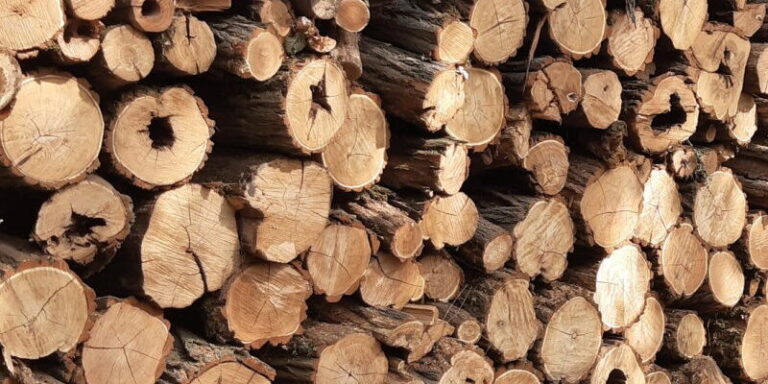 Ismét igényelhető szociális tűzifa
