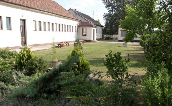 Pedagógiai asszisztenst keresünk az oviba!