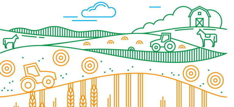 Egyéni gazdaságok összeírása